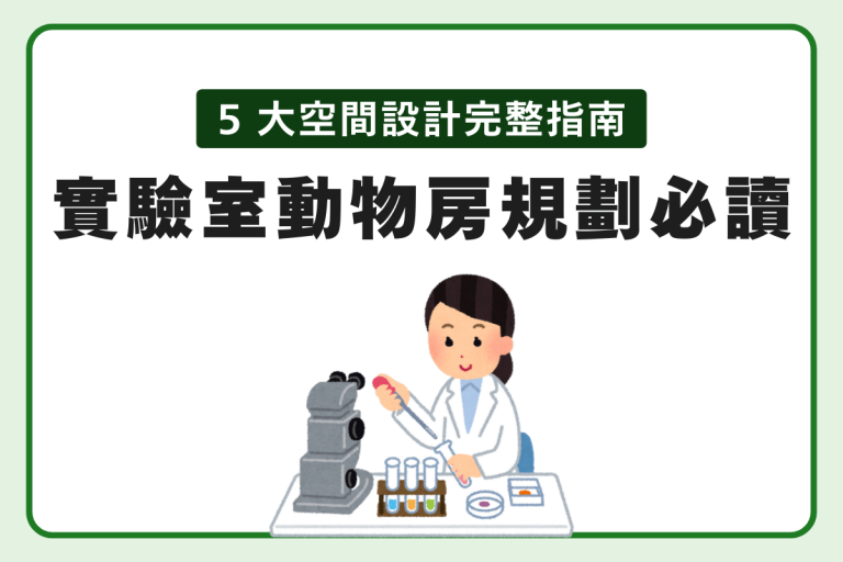 潔錠 5